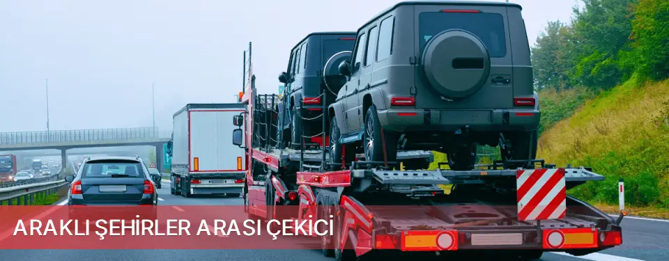 Araklı İlçemi Şehirler Arası Çekici